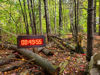 Picture of Orienteering Clock