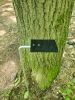 Picture of Flag Stands with centred top plate