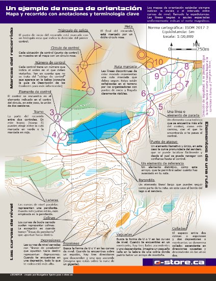 Spanish Reference Guide - Page 1